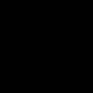 Meet your Posher, Terrin